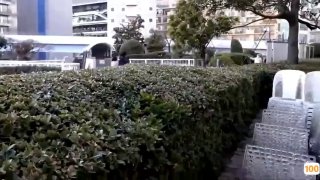 二零二三七月十一号_短头发的假小子