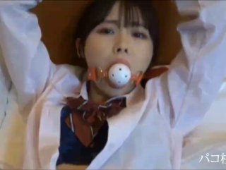 可信网站和一个出差女生的三批经历